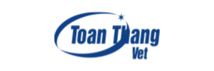 toanthangviet.png